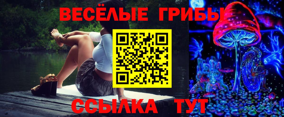 Псилоцибиновые грибы GOLDEN TEACHER  Вход с VPN  Чусовой 